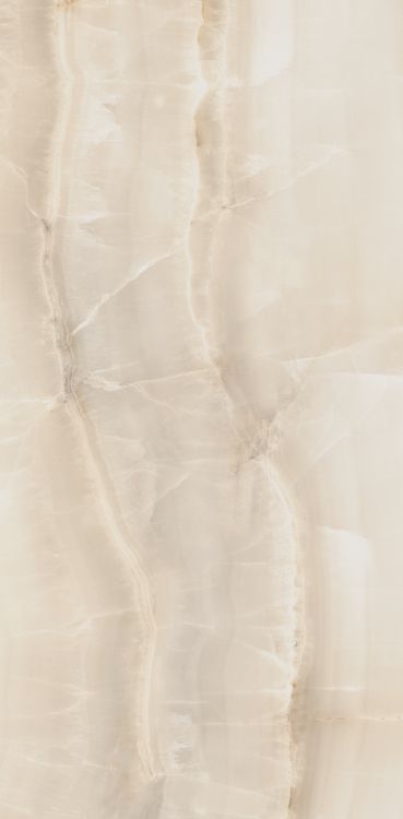 Akoya Ivory Matte 12 x 24
